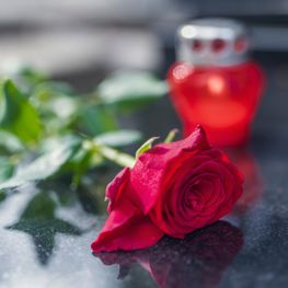 rose on gravestone