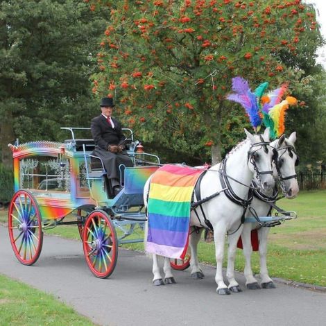 Rainbow carriageChildrens Funerals