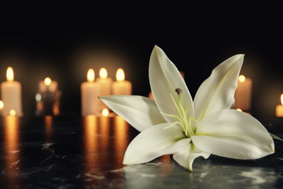 funeral flower lily and candles
